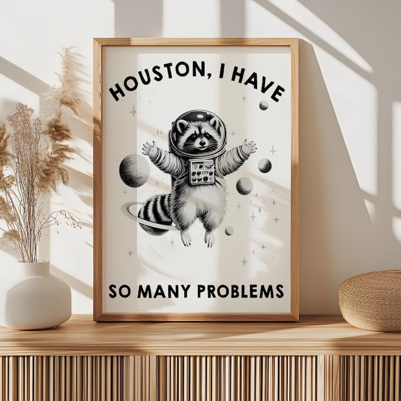May include: A framed wall art print featuring a black and white illustration of a raccoon wearing a space suit and helmet, floating among planets and stars. The text reads HOUSTON, I HAVE SO MANY PROBLEMS in bold black capital letters.