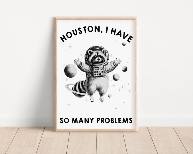 May include: A framed wall art print featuring a black and white illustration of a raccoon wearing a space suit and helmet, floating among planets and stars. The text HOUSTON, I HAVE SO MANY PROBLEMS is printed in black capital letters.