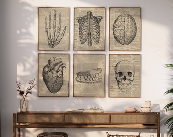 Set of 6 Vintage Human Body Parts | Dark Academia | Antique Newspaper | Halloween Wall Art | Human Anatomy | Digital Download