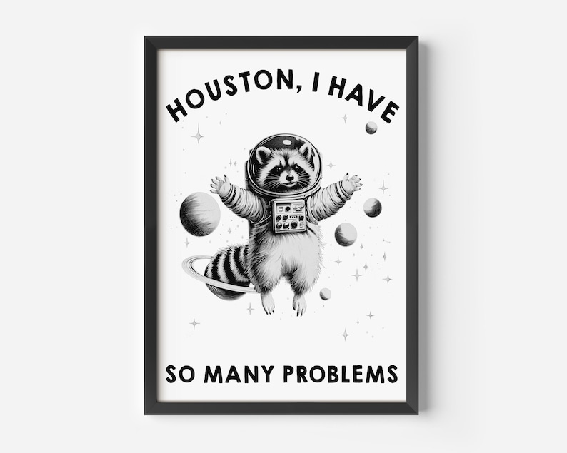 May include: A framed black and white wall art print featuring a raccoon wearing a space suit and helmet floating in space among planets and stars. The text HOUSTON, I HAVE SO MANY PROBLEMS is printed in bold black capital letters at the top and bottom.