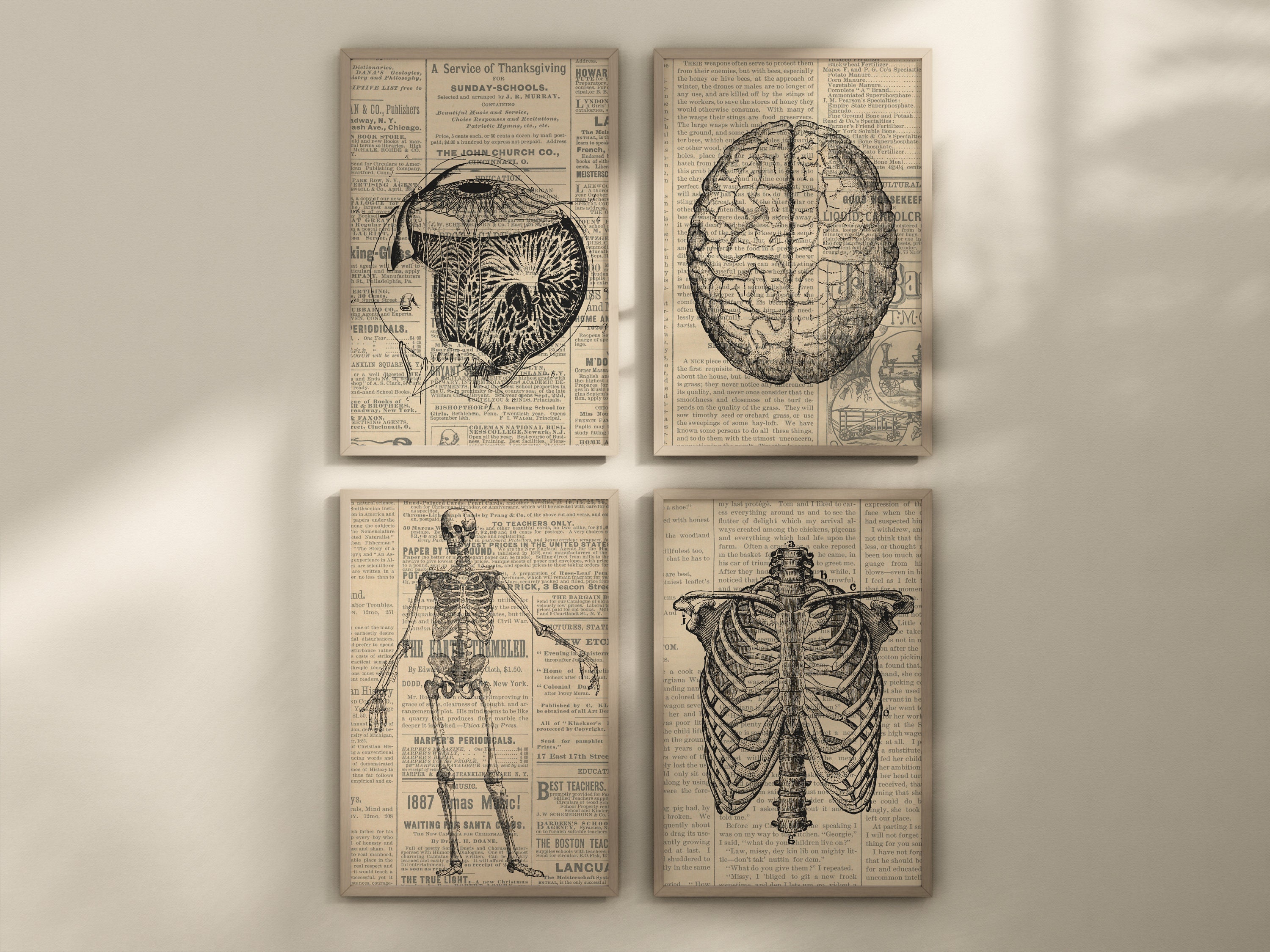 Human Body Wall Art - Etsy