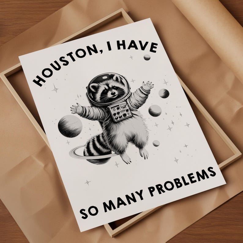 May include: A white rectangular print featuring a black and white illustration of a raccoon wearing an astronaut helmet and suit, floating among planets and stars. The text reads HOUSTON, I HAVE SO MANY PROBLEMS in bold black capital letters.