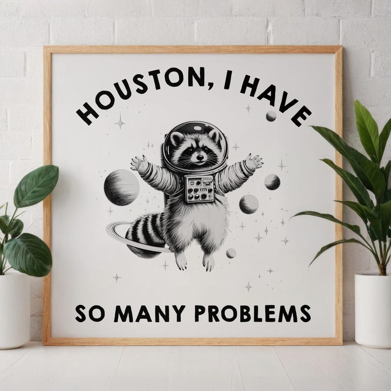 May include: A square framed wall art print featuring a black and white illustration of a raccoon wearing a space helmet and suit, floating among planets and stars. The text reads HOUSTON, I HAVE SO MANY PROBLEMS in bold black capital letters.