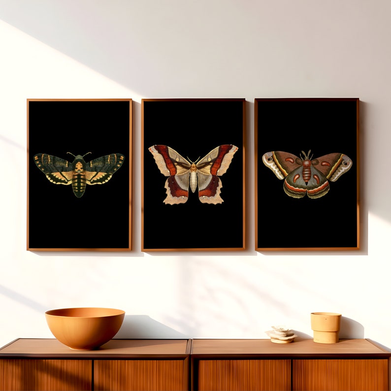 Pu&ograve; includere: Tre stampe incorniciate di illustrazioni vintage di falene e farfalle su sfondo nero. Le stampe presentano una falena verde e marrone, una farfalla marrone e bianca e una falena marrone, bianca e blu.