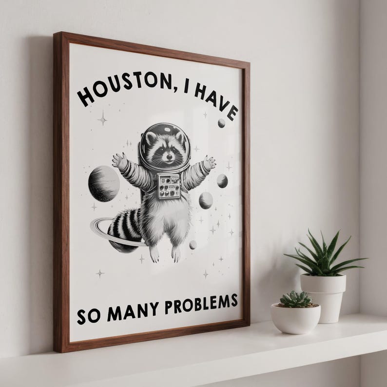 May include: A framed wall art print featuring a black and white illustration of a raccoon wearing a space helmet and suit, floating among planets and stars. The text reads HOUSTON, I HAVE SO MANY PROBLEMS in bold black capital letters.