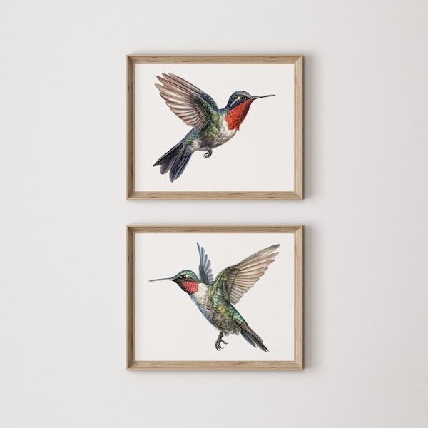 Set of 2 Hummingbird Prints | Ruby Throated Hummingbird | Horizontal Nature Poster | Healing Symbol | Digital Download