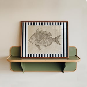 Könnte beinhalten: Eine gerahmte Schwarzweißillustration eines Fisches mit blauen und weißen Streifen auf dem Rahmen. Der Rahmen steht auf einem grünen Regal.