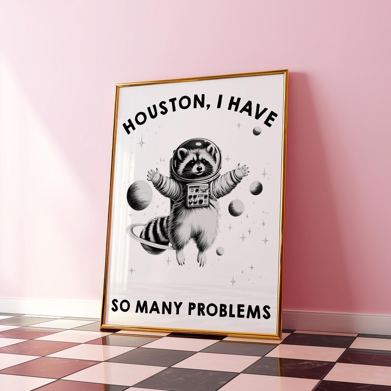 May include: A framed poster featuring a black and white illustration of a raccoon wearing a space helmet and suit, floating among planets and stars. The text reads HOUSTON, I HAVE SO MANY PROBLEMS in bold black capital letters at the top and bottom.