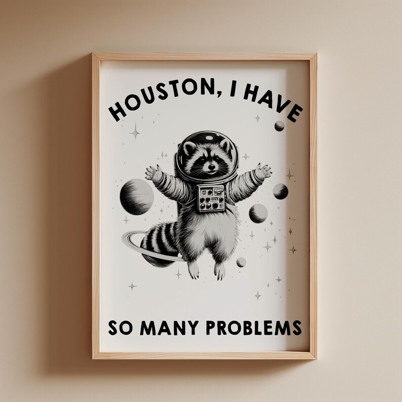 May include: A framed wall art print featuring a black and white illustration of a raccoon wearing a space suit and helmet, floating among planets and stars. The text reads HOUSTON, I HAVE SO MANY PROBLEMS in bold black capital letters.