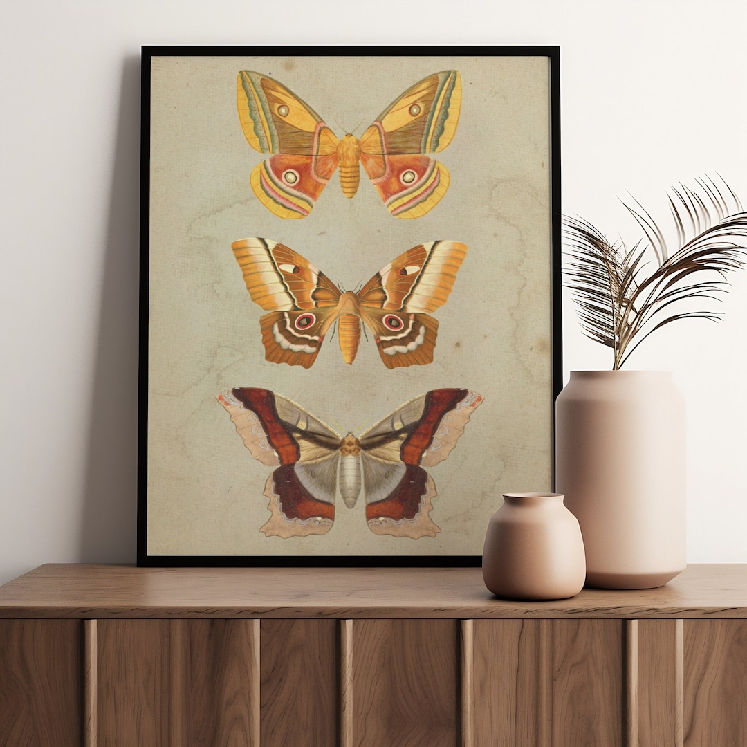 3 Vintage Moths Wall Art Entomology Poster Dark Academia Decor Unique ...