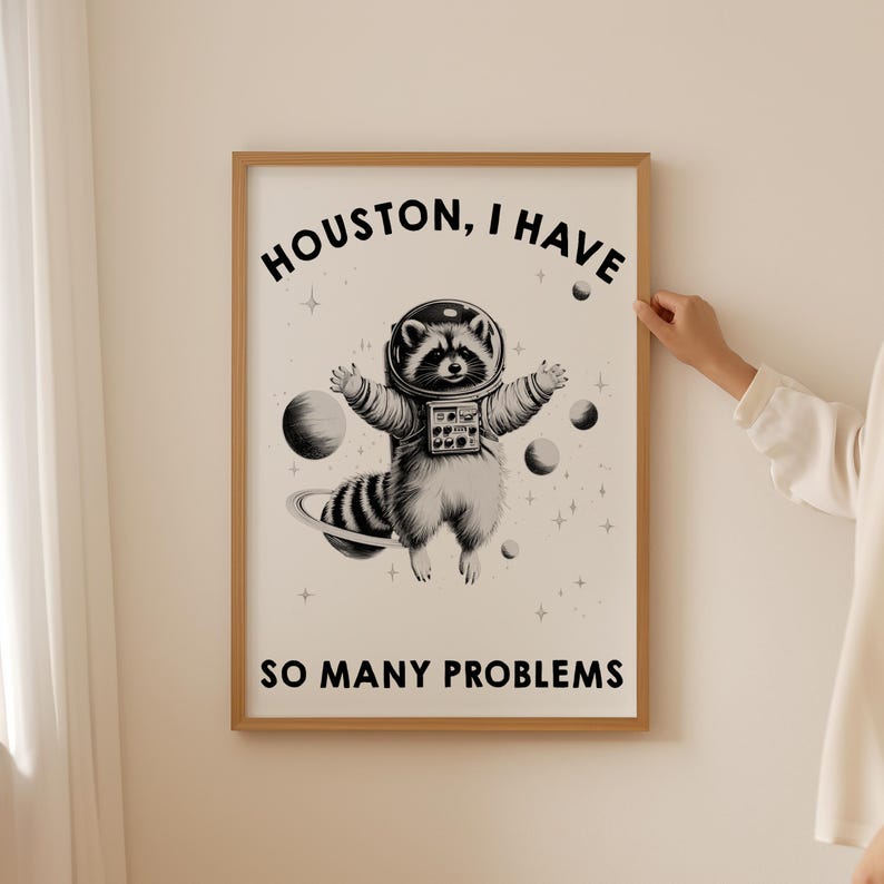 May include: A framed wall art print featuring a black and white illustration of a raccoon wearing a space suit, floating among planets and stars. The text at the top reads HOUSTON, I HAVE and the text at the bottom reads SO MANY PROBLEMS.
