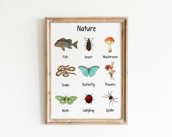 Educational Nature Poster Montessori Insects Print - Etsy Educational Nature Poster Montessori Insects Print - Etsy
