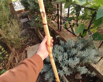 Greek cypress staff with a dragon, phoenix, pentacle and triquetra and quartz crystal- tool for witchcraft- for witches, pagans and wiccans