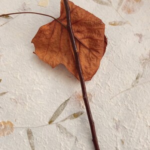 Greek plum mini wand - tool for witchcraft- perfect gift for witches, pagans and wiccans