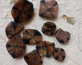 1 pc tumbled chiastolite slab, Andalusite, fairy cross  - tool for witchcraft - perfect for witches, pagans and wiccans