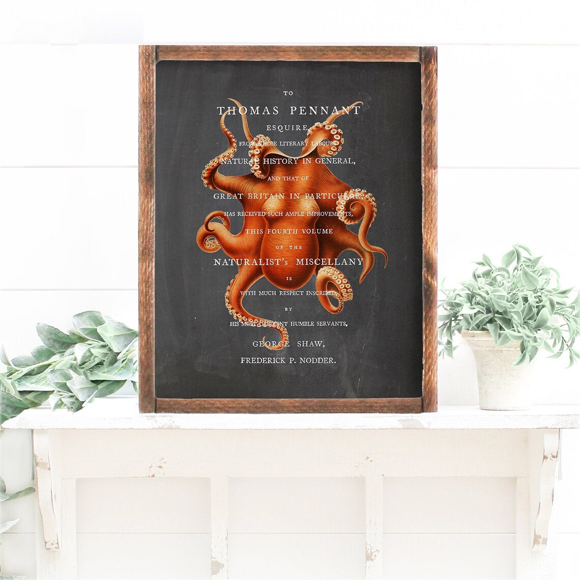 Octopus Chalkboard Vintage Print Wall Art Print Botanical - Etsy