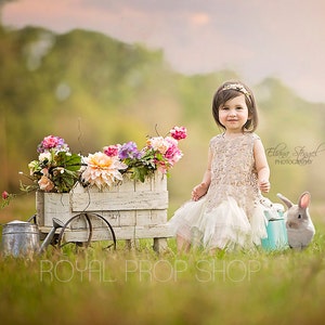 Spring Digital Backdrop, Easter Backdrop, Spring Backdrop, Digital Download, Floral Backdrop, Photography Backdrop