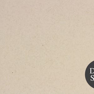 May include: A close-up of a beige textured paper background with a black circle containing the text "Desert Storm".