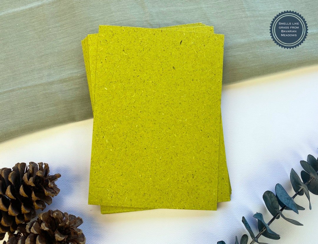 Compostable Card Grass Paper Blank Cards | Eco-friendly Compostable Stationery (25 Pack ...