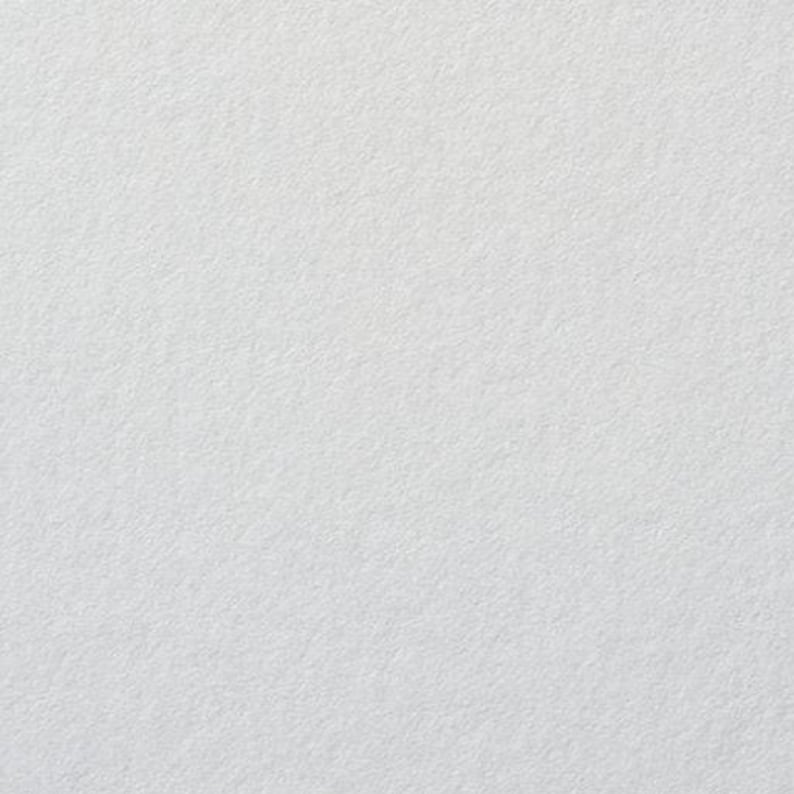 Wedding White Envelopes, RSVP, Save the Dates + | Blank or Printed with your Addresses (25 Pack) image 3