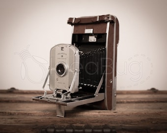 PHOTO PRINT - Vintage Polaroid Land Camera Model 95B on Wood Trunk, 8x10 or 16x20