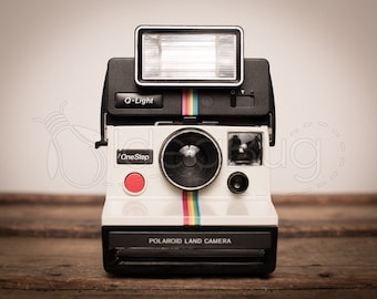 PHOTO PRINT - Retro Polaroid Rainbow Camera & Q-Light on Wood Trunk, 8x10 or 16x20