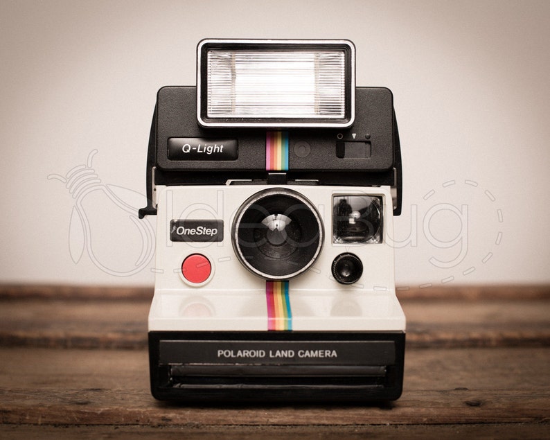 PHOTO PRINT - Retro Polaroid Rainbow Camera & Q-light on Wood Trunk ...