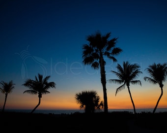PHOTO PRINT - Tropical Palm Trees at Sunset on Beach - Fine Art, 8x10 or 16x20