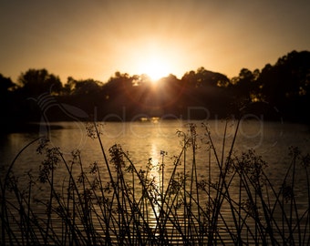 PHOTO PRINT - Silhouetted Beautiful Sunset Over a Lake - Fine Art, 8x10 or 16x20