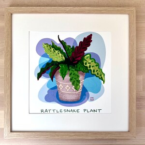 Rattlesnake Plant with Colorful Background Art Print