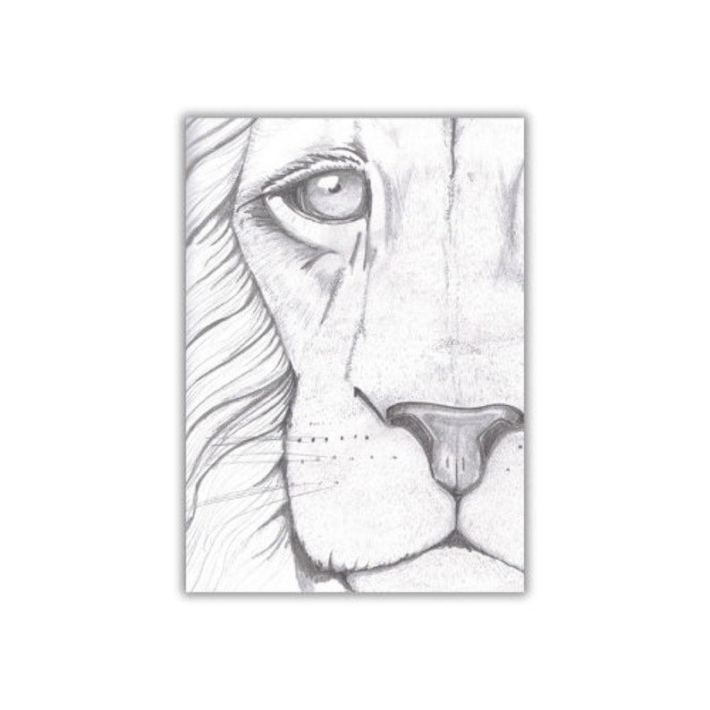 Printable PDF Aslan Card-blank Inside, Thank You Card, Encouragement ...