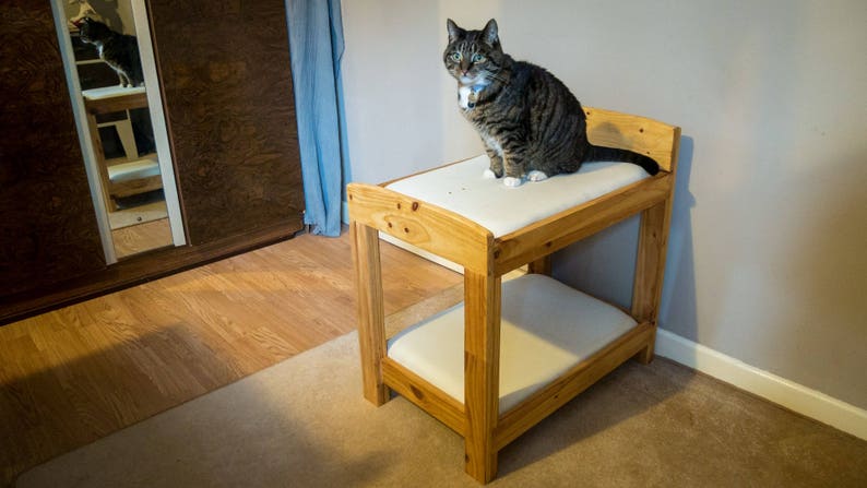 Cat Or Small Dog Bunk Beds Image 0