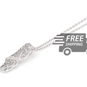 Peut inclure: Un collier avec pendentif en argent filigrané. Le pendentif présente un motif ajouré complexe. La chaîne du collier est délicate et argentée. L'image comprend également un graphique d'un camion de livraison avec l'inscription "FREE SHIPPING".