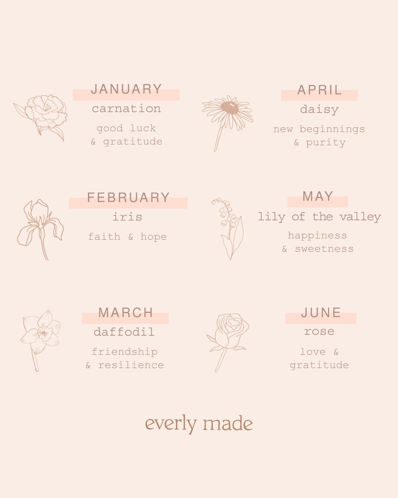 May include: A graphic illustration of flowers representing each month of the year. The flowers are drawn in a simple line art style. The text includes the month, flower name, and a short description of the flower's meaning. The text "everly made" is at the bottom of the image.