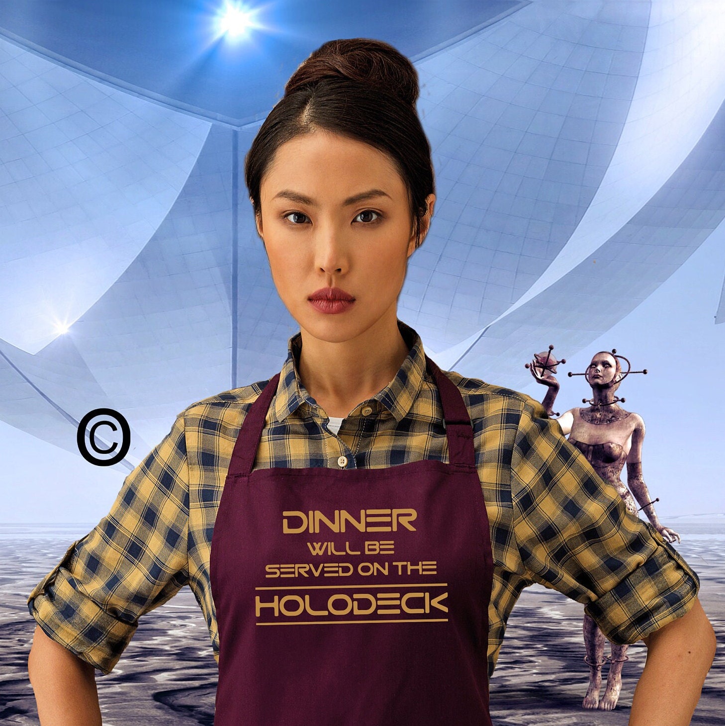 Le Dîner Sera Servi sur Le Tablier Holodeck Star Trek Voyager. 23 Couleurs | Ref 1055