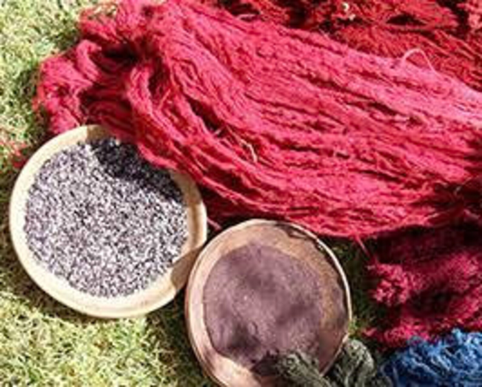 Cochineal whole bug dye Etsy