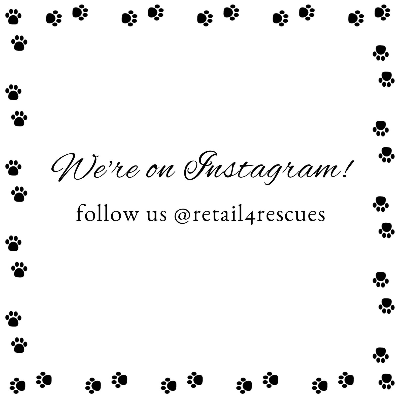 Rainbow Dog Collar Adjustable Collar Pawprint Collar Buckle Etsy