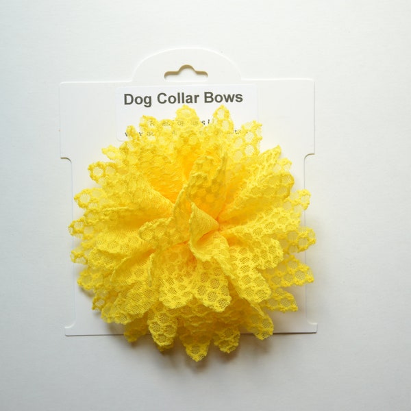 Collar Flower Bows, Dog Collar Flowers, Dog Collar, Girl Dog Accessories, Dog Collar Bow, Dog Bows, Collar Bow, Detachable Bows, Dog Flowers