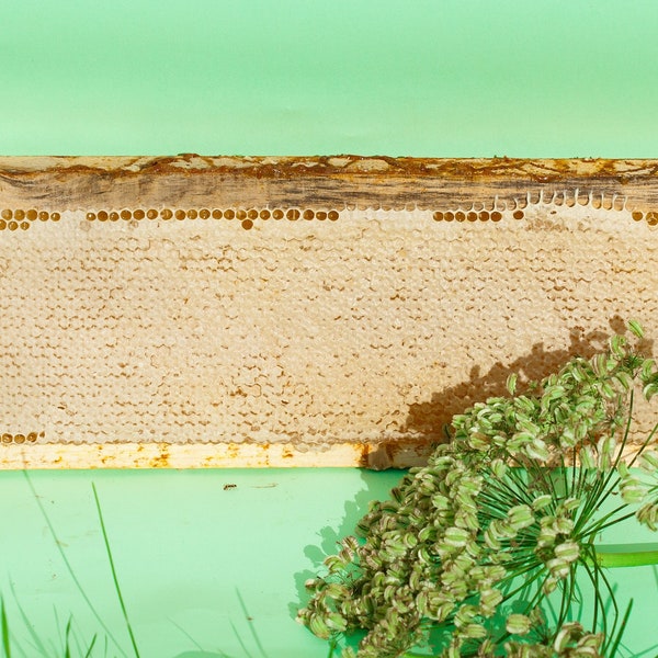 Raw honeycomb (full frame) 4 lb 6 oz / 2kg | Wildflower honeycomb | Pure natural organic honey | Straight from the hive, unprocessed