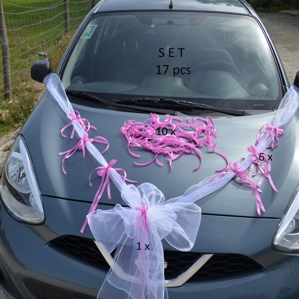 Car Antenna Decorations Etsy