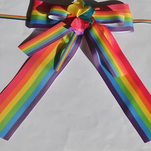 May include: A rainbow ribbon bow with a purple stripe in the center of each ribbon. The bow is tied with a white ribbon and has a small flower in the center.