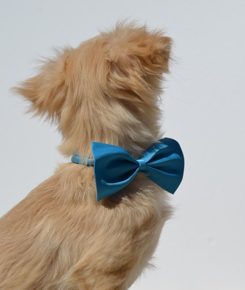 Hundehalsband, Hundefliege, Hundeschleife, 18 Farben zur Wahl Bild 5