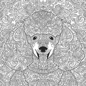 Adult Coloring Page - Poodle Dog - Instant Digital Download - DIY Artwork - Size A4 & Letter