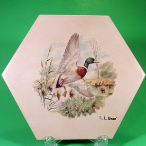 May include: A hexagonal ceramic tile with a painted image of a mallard duck in flight. The tile has a cream background and the duck is painted in shades of brown, green, and white. The tile is signed "L.L. Bean" in the bottom right corner.