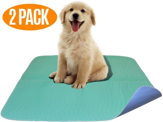 Reusable pee pads for dogs best sale canada