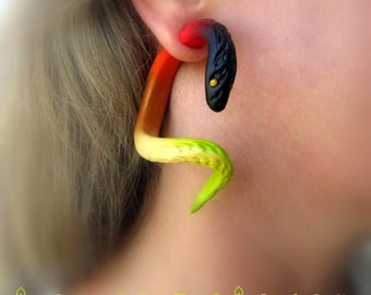 May include: A colorful snake-shaped ear gauge. The gauge is inserted into the ear and features a gradient of colors, including red, orange, yellow, and green. The snake's head is black with a yellow eye. The text "GALAXY SNAIL" is at the bottom.