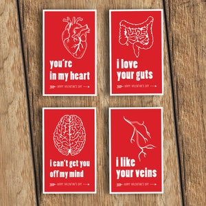 Funny Anatomical Valentine's Day Card 4-Pack - Download and Print - Great for nurses, doctors, med students, medics