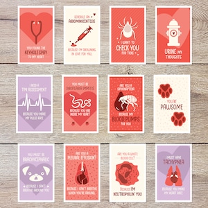 12 tarjetas de San Valentín imprimibles con temática veterinaria: descarga e imprime, perfectas para veterinarios y hospitales de animales