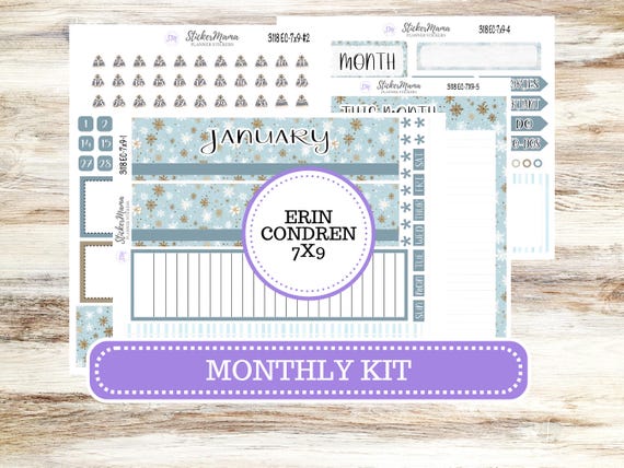 Erin Condren Monthly Planner Sticker Kit 3118 | 7X9 | Arctic Frost | 10-26