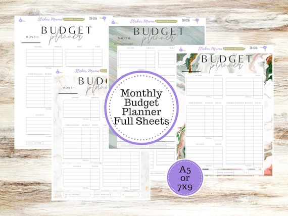 ERIN CONDREN DASHBOARD || Budget Planner Pages || Full Page Budget Dashboard